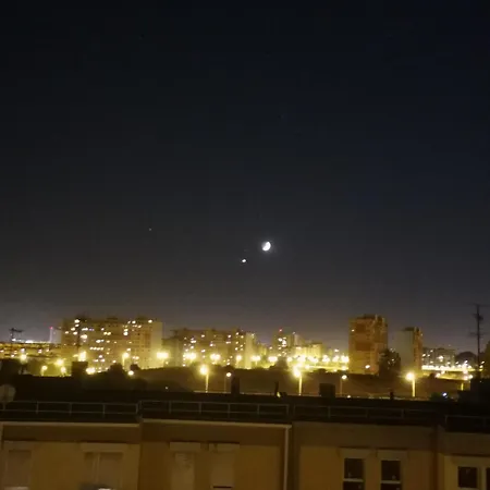 Forts Проживание в семье