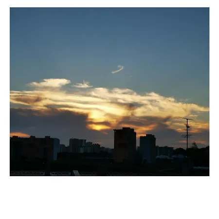 Forts Проживание в семье *